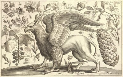 Un grifo de Wenceslaus Hollar